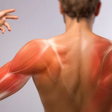 العناية بالعضلات والمفاصل